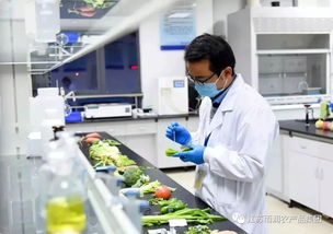 給力！2019全國農(nóng)業(yè)產(chǎn)業(yè)化龍頭企業(yè)500強(qiáng)發(fā)布，徐州這家企業(yè)憑借檢驗(yàn)檢測(cè)服務(wù)上榜